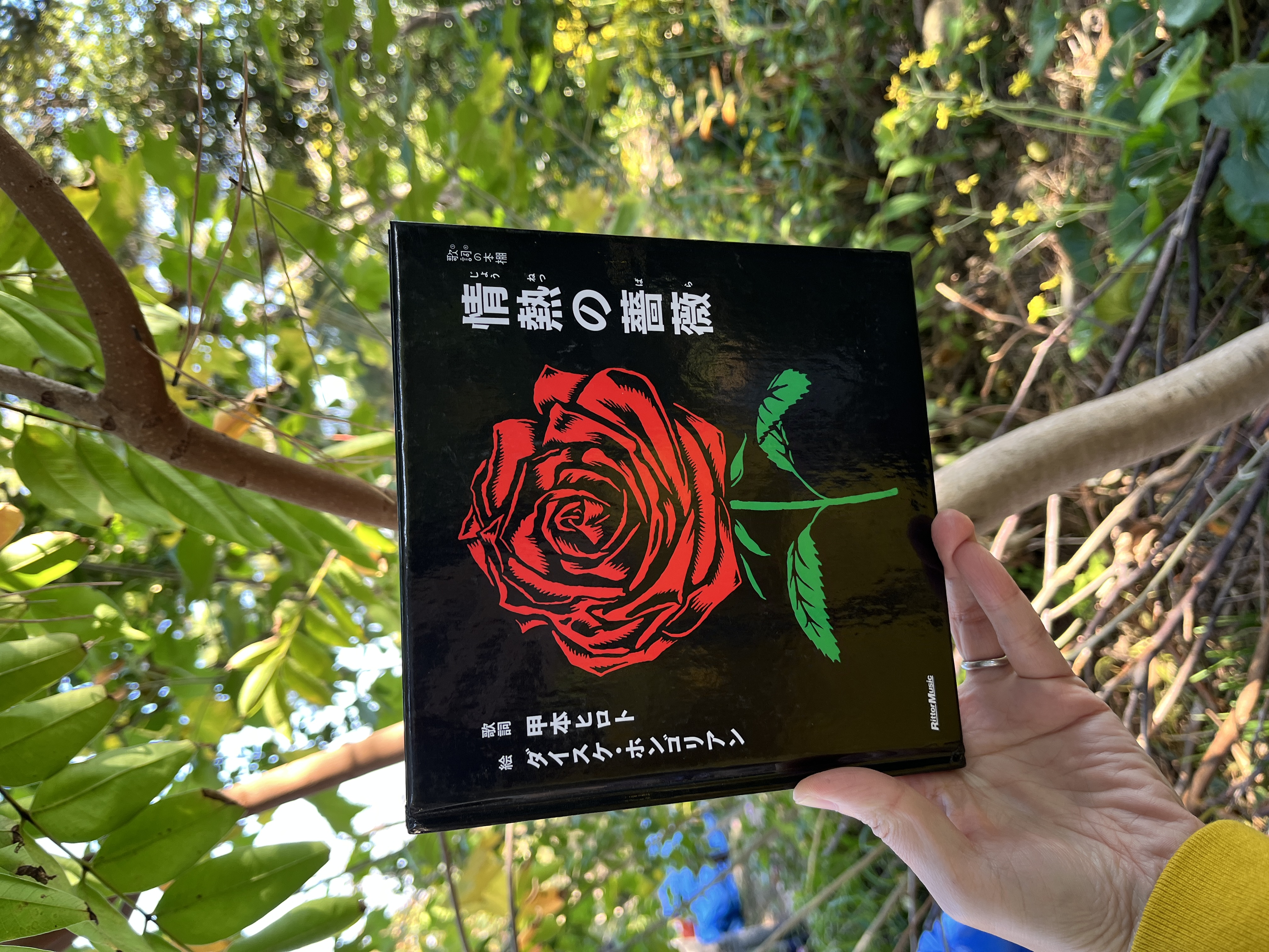 ここ数年の中でもピカイチの絵本 出会えてよかった絵本『情熱の薔薇